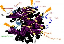 Metal-free porous carbons: innovations for energy and environmental applications porous carbons