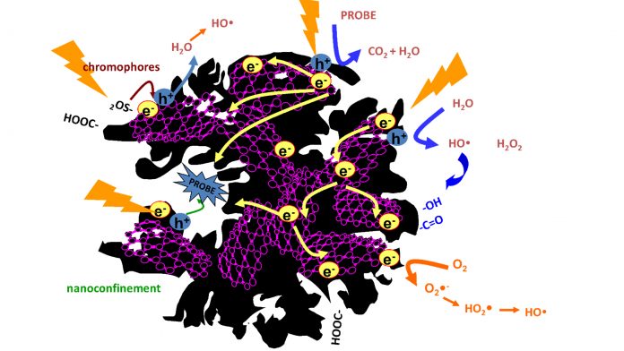 porous carbons