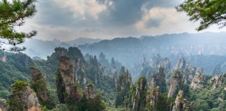 caused the COVID-19 outbreak