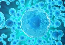 cellular communication