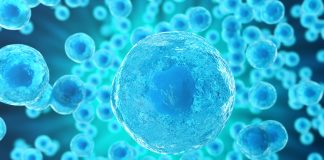 cellular communication