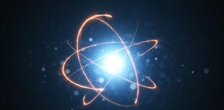 Effects of radioactive microparticles found in animal experiments