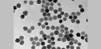 magnetic nanoparticles