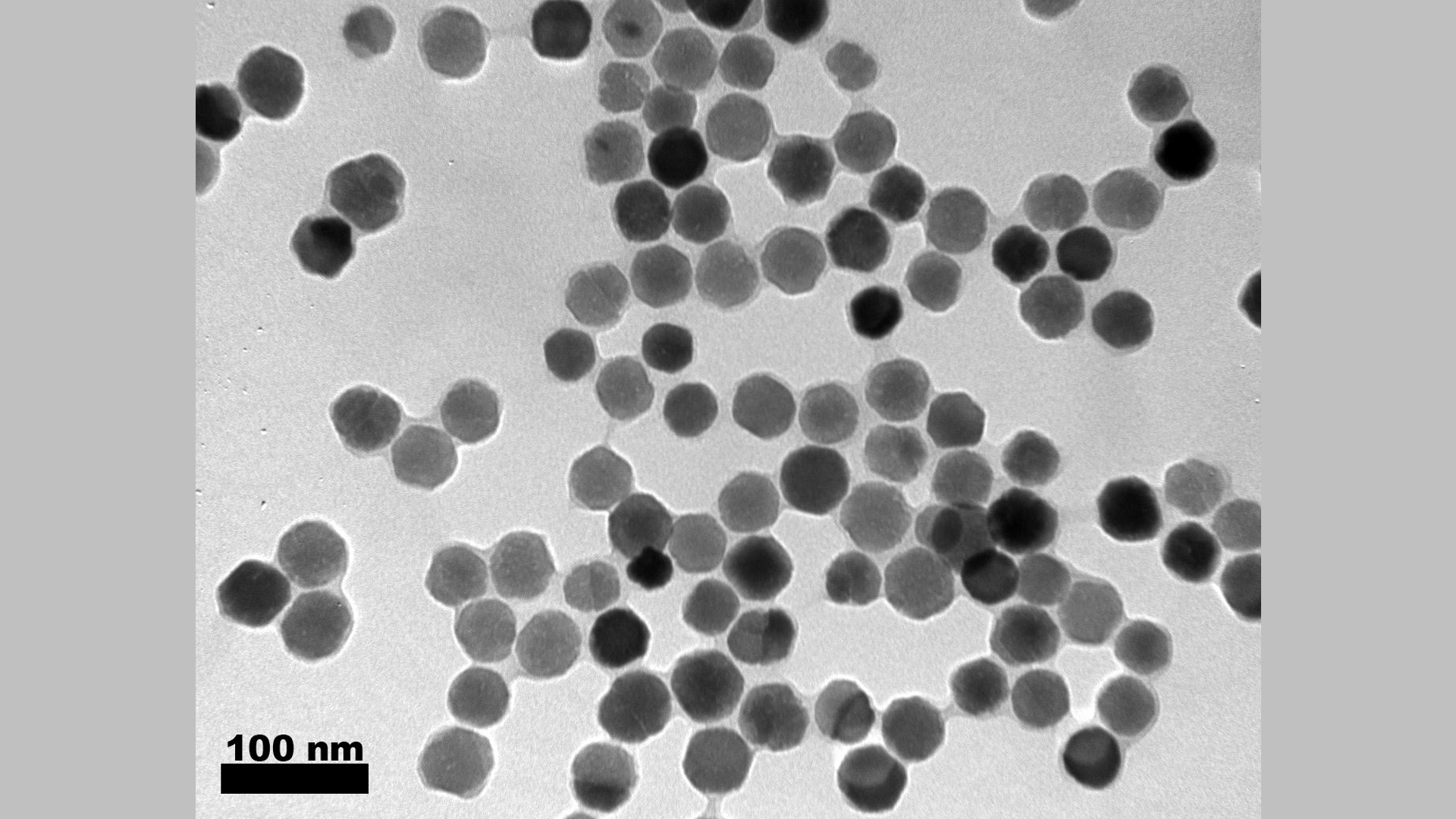 Scientists biosynthesise nanoparticles using bacteria