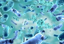 How climate warming influences the stability of microbial networks microbial networks