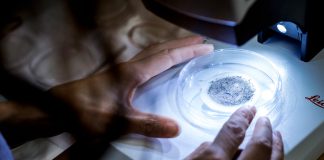 microplastics in sediment