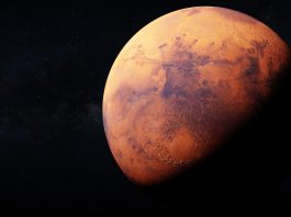 survive on Mars