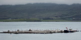 sustainable aquaculture innovation