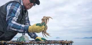 sustainable fishery management