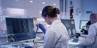 Scaling-up extraction of extracellular matrices