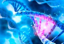 Footage of a DNA helix shows it dancing inside the cell DNA helix