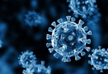 Fighting COVID-19 with the One Health Initiative One health