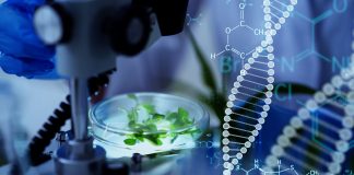 gene therapy treatment