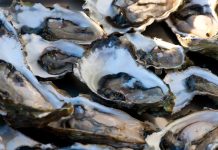 Warmer waters and low oxygen could impact young oysters’ ability to grow meat oyster meat