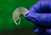 Scientists use silkworm silk to grow skeletal muscle cells skeletal muscle cells