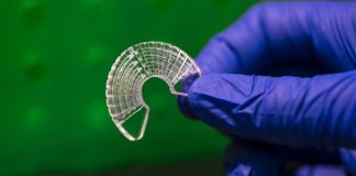 skeletal muscle cells