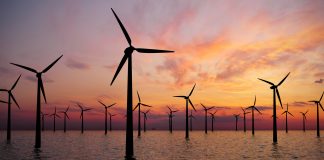 performance of wind farms