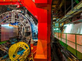 Large Hadron Collider beauty