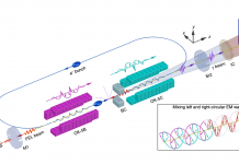 The Clover Array for Nuclear Structure Studies at HIγS Nuclear Structure