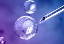 Stem cell engineering: learning from the evolution Stem cell engineering: learning from the evolution