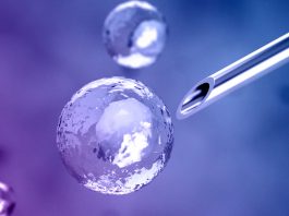 Stem cell engineering: learning from the evolution