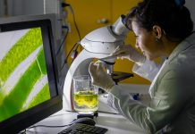 How AlgaePro are accelerating aquaculture innovation aquaculture