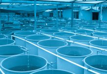 New biofilter media improving water quality in aquaculture biofilter media