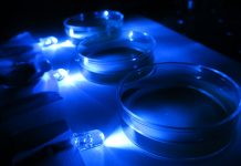 New regulator for molecular motor protein discovered New regulator for molecular motor protein discovered