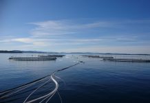 Enhancing biosecurity on fish farms with Liftup AS fish farms