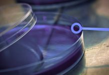 Developing solutions to combat antibiotic resistant bacteria antibiotic