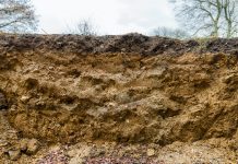 Biogeophysics: exploring the Earth’s subsurface biosphere Earth’s subsurface