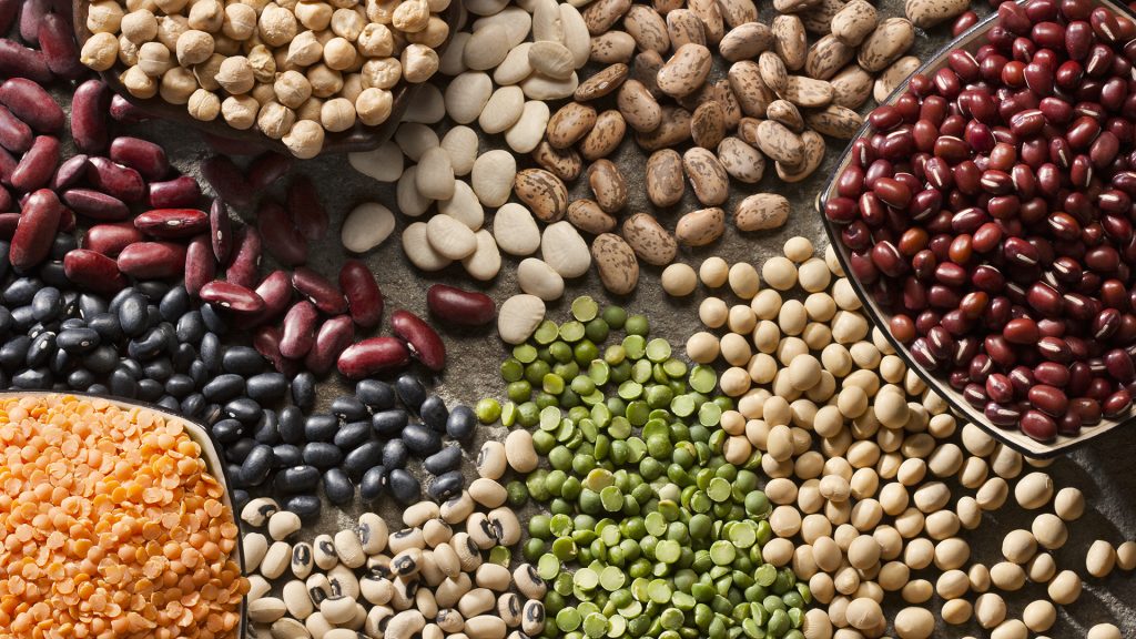 Crop rotations with legumes offer sustainable food production