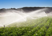 Technological improvements in precision crop irrigation crop irrigation