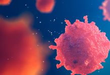 Treating cancer by preventing the process of cell proliferation cell proliferation