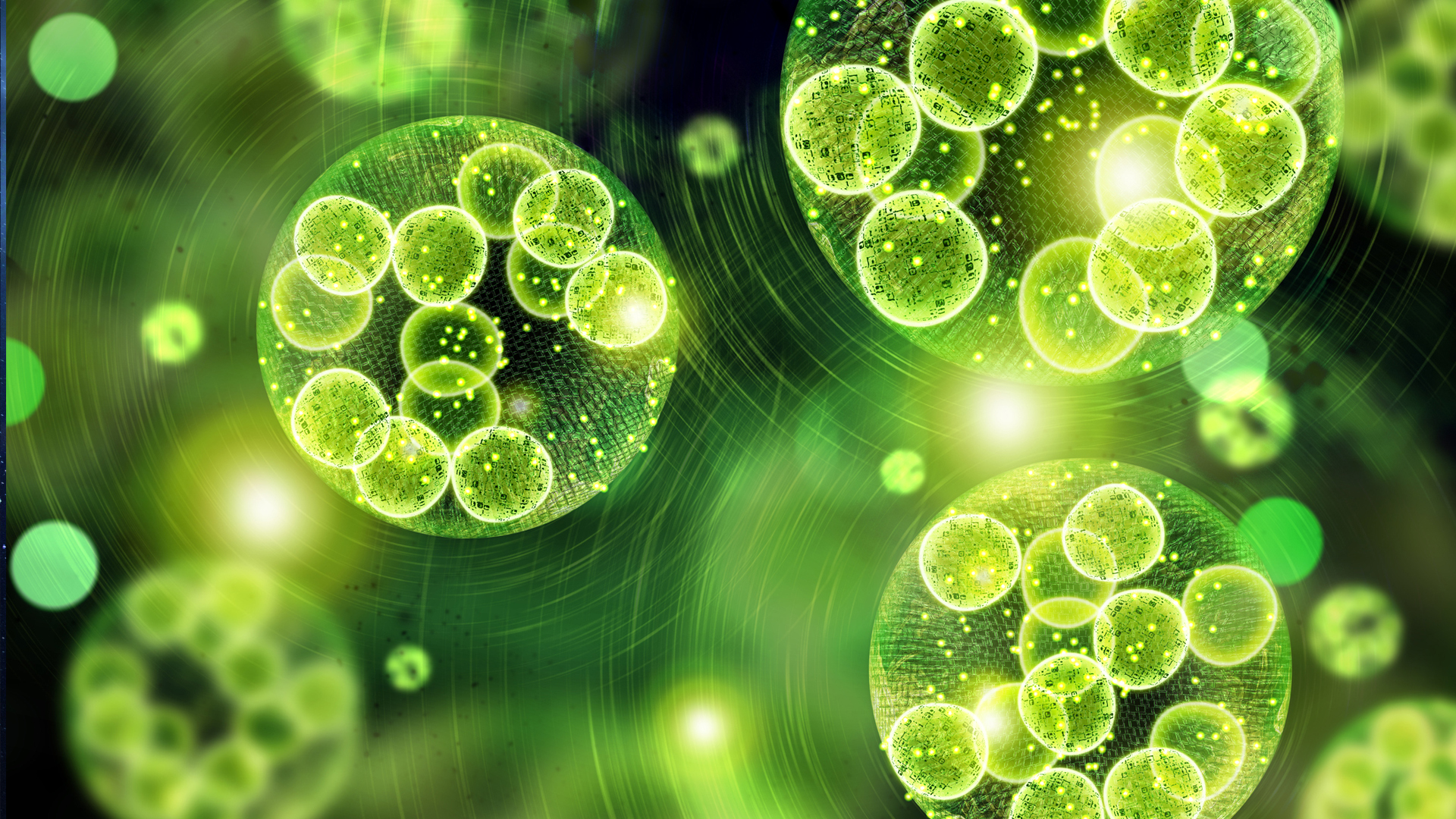 Enzyme from fungus could help produce renewable fuels and chemicals Innovation News Network