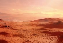 Mars’ subsurface holds the right conditions for microbial life Mars’ subsurface holds the right conditions for microbial life