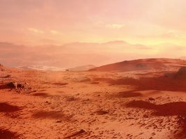 Mars’ subsurface holds the right conditions for microbial life