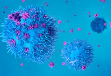 Discovery of AMBRA1 enzyme may help cancer treatment AMBRA1