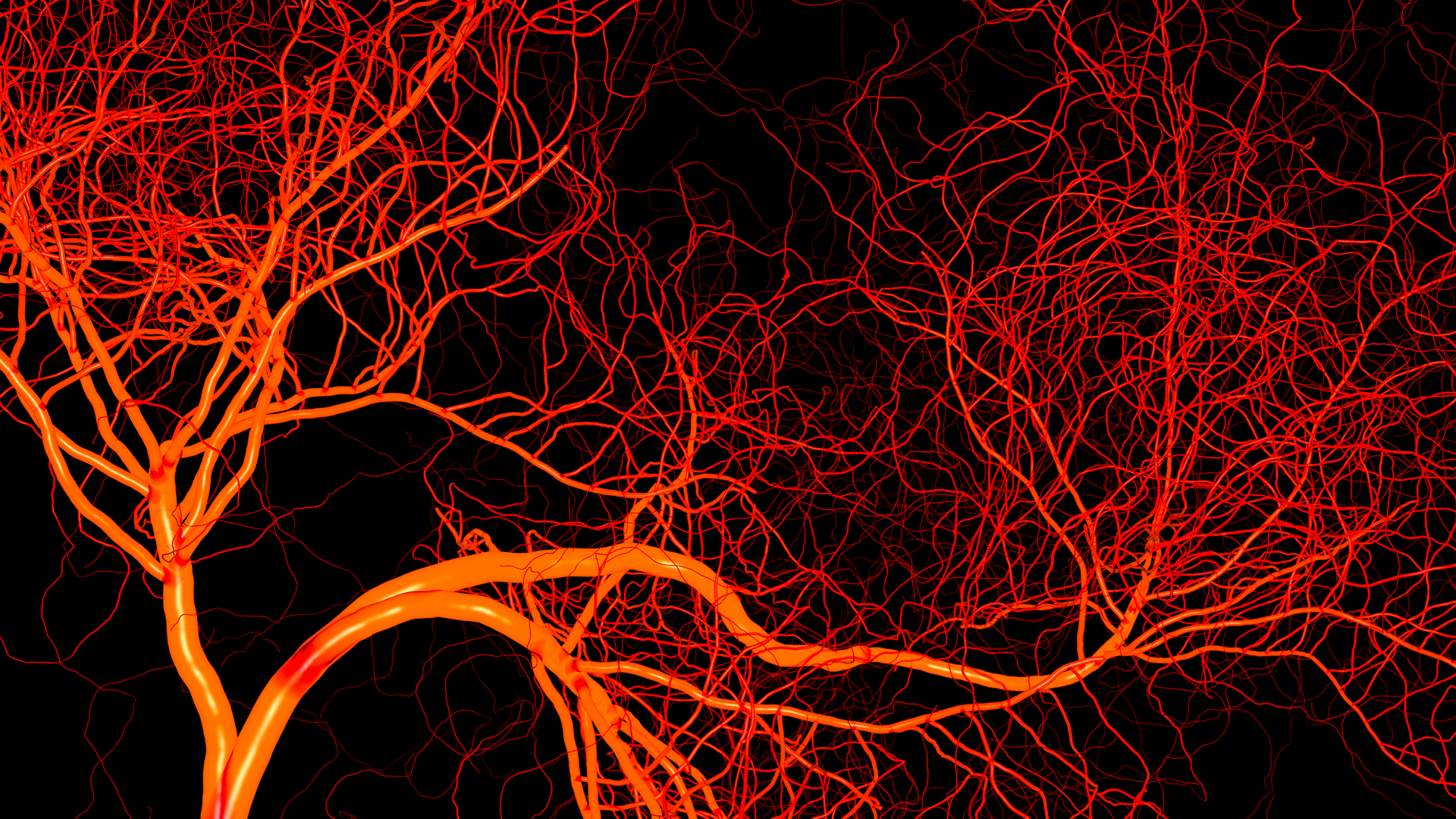 Кровеносная система капилляры. Снимок кровеносных сосудов. Сетка кровеносных сосудов. Нитевидный кровеносный сосуд