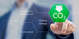 sustainable development