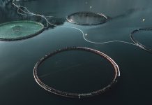 Optimeering Aqua: using digital tools to optimise aquaculture Optimeering Aqua: using digital tools to optimise aquaculture