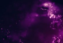 Deciphering signals from the early Universe in particle collisions early universe