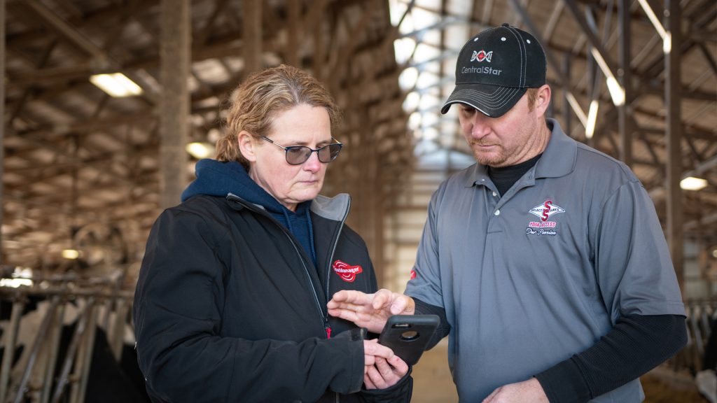 sustainable dairy farming