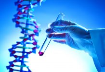 Funding for gene therapy innovation hubs in the UK gene therapy innovation hubs