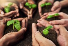 Multi-stakeholder agricultural co-operatives and sustainability Multi-stakeholder agricultural co-operatives and sustainability