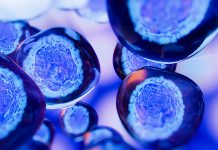 Transforming neuroscience with 3D printing stem cells stem cells