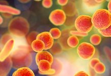 Enhancing nanoscale devices through Mycoplasma mobile analysis Mycoplasma mobile