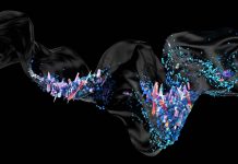 Scientists find evidence of pristine quantum criticality quantum criticality