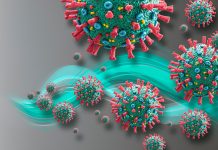 Developing COVID-19 protein protocols for research laboratories COVID-19 proteins
