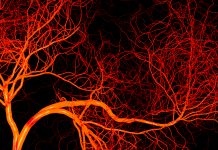 Fixing broken blood vessels with electronically-activated glue broken blood vessels